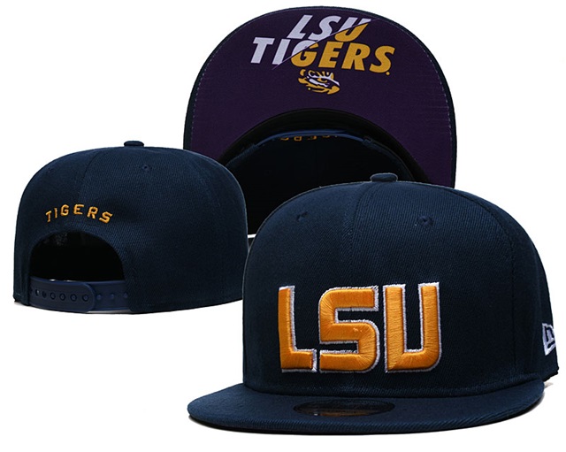 NCAA snapback caps-026